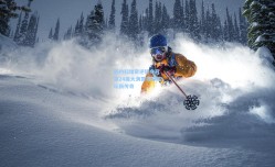 德约科维奇逆转夺冠 第24座大满贯书写网坛新传奇