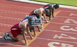 德甲新赛季前瞻，拜仁冲击12连冠，勒沃库森、莱比锡虎视眈眈，黑马谁能搅局？