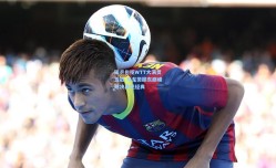 国乒包揽WTT大满贯五冠 马龙樊振东巅峰对决再现经典