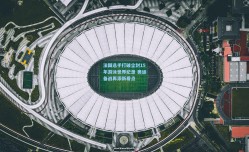 法国选手打破尘封15年游泳世界纪录 奥运备战再添新看点